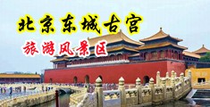 麻豆视频叫床射精中国北京-东城古宫旅游风景区